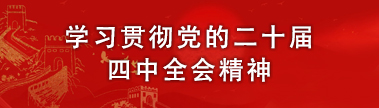 2025年学习贯彻党的二十届四中全会精神